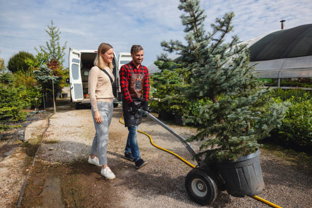 Leaf Removal in Allendale, CA